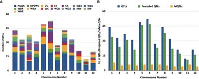 Erratum: Meta-QTL and haplo-pheno analysis reveal superior haplotype combinations associated with low grain chalkiness under high temperature in rice